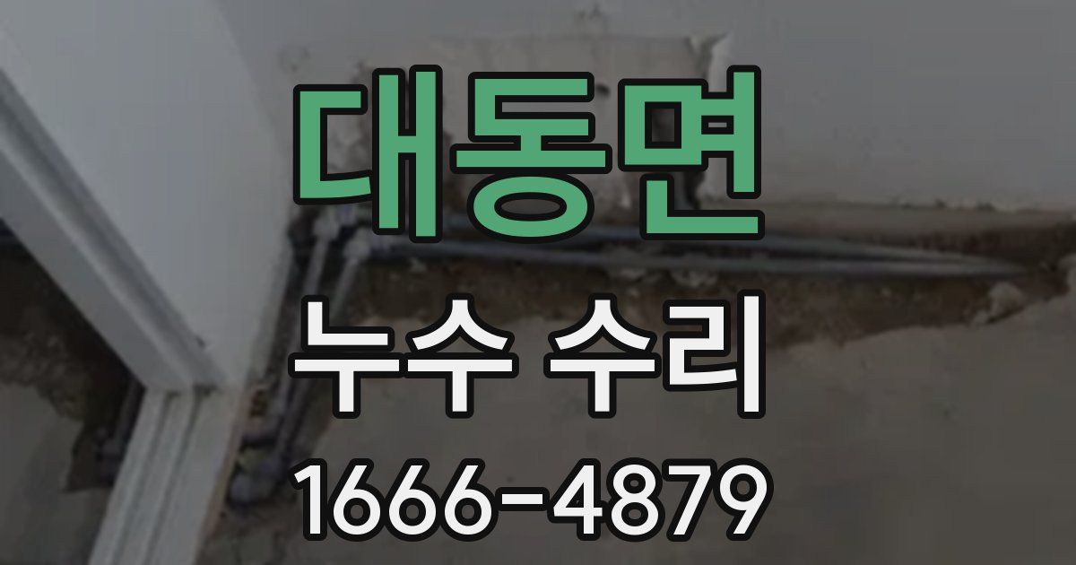 대동면 누수 수리
