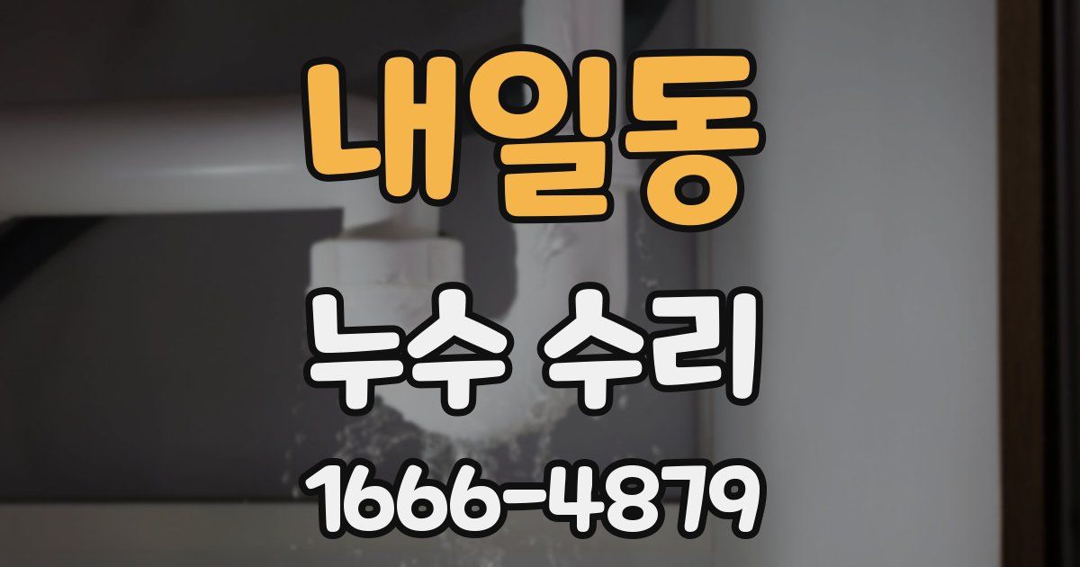 내일동 누수 수리