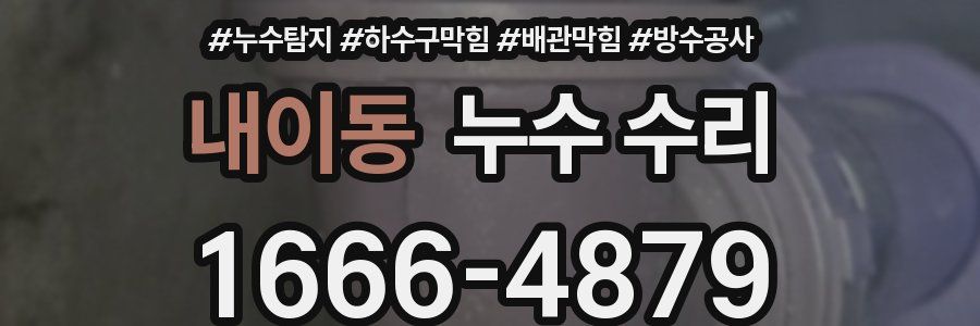 내이동 누수 수리