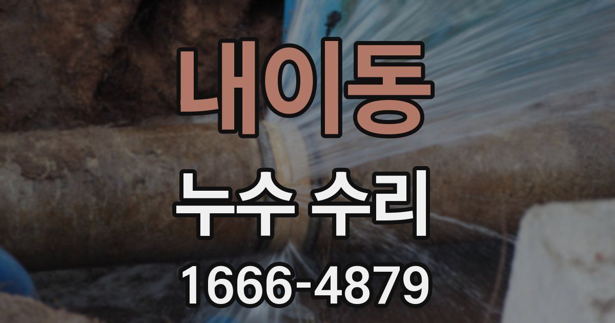 내이동 누수 수리