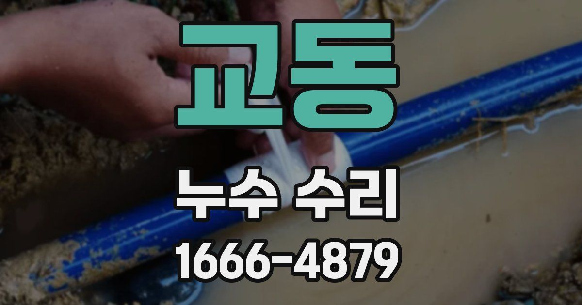교동 누수 수리