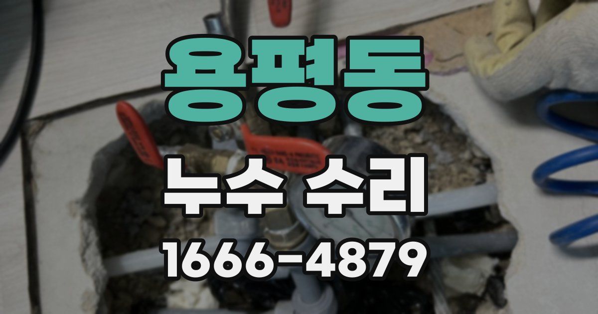 용평동 누수 수리