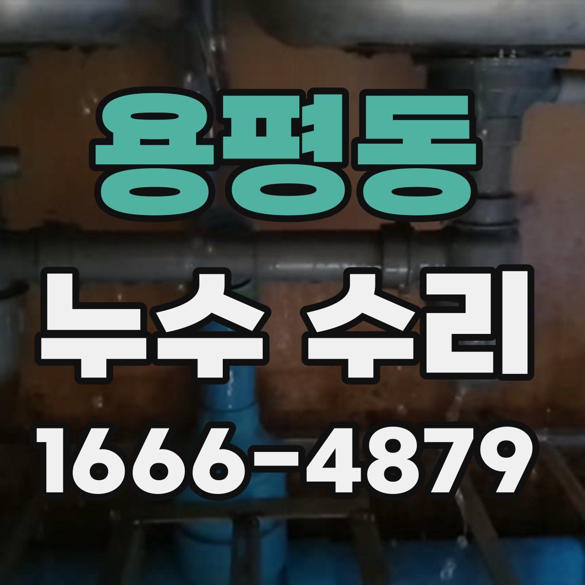 용평동 누수 수리