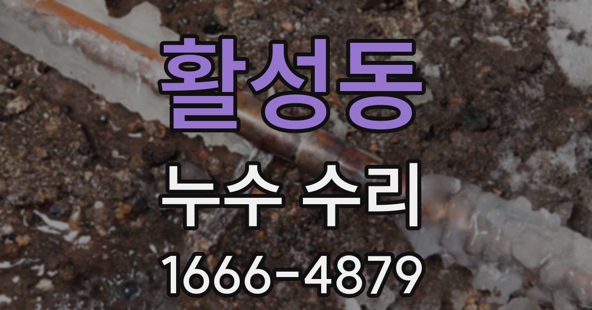 활성동 누수 수리