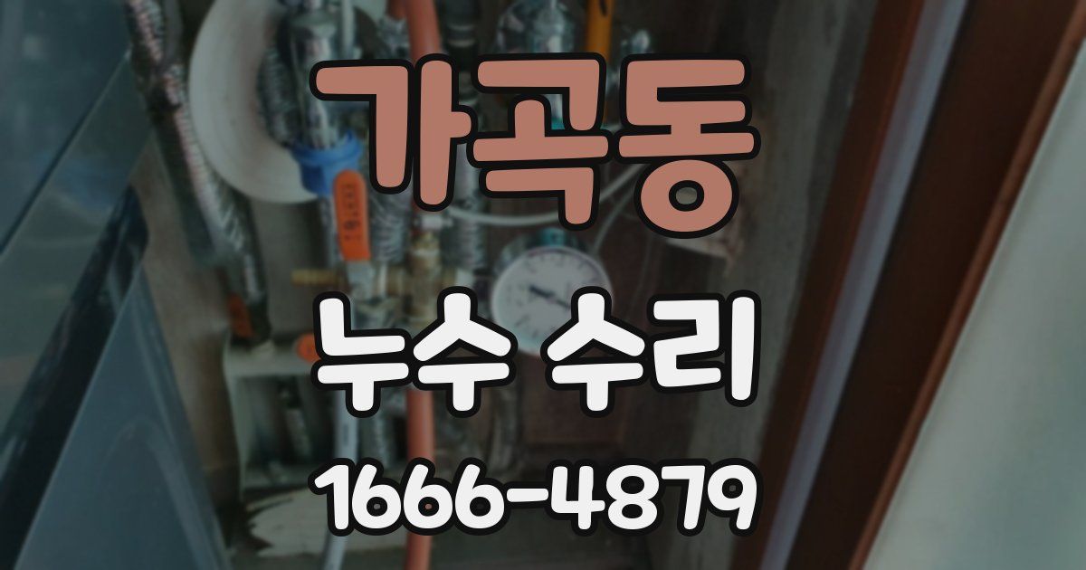 가곡동 누수 수리