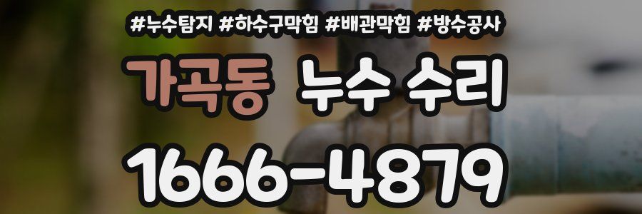 가곡동 누수 수리