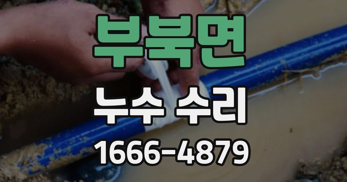 부북면 누수 수리