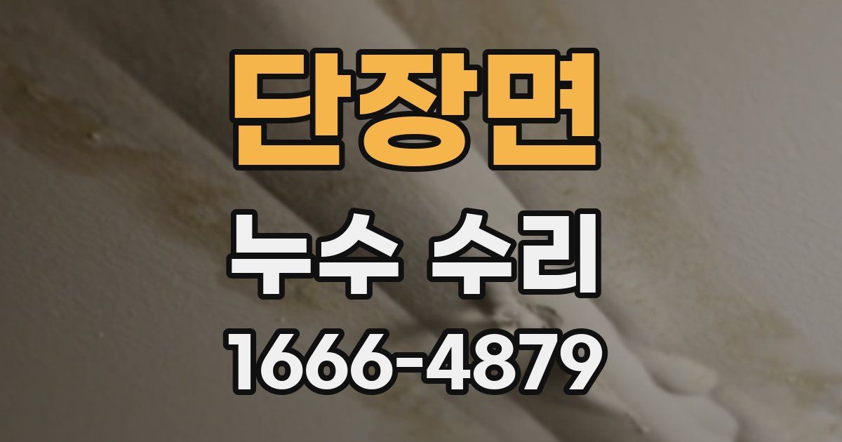 단장면 누수 수리