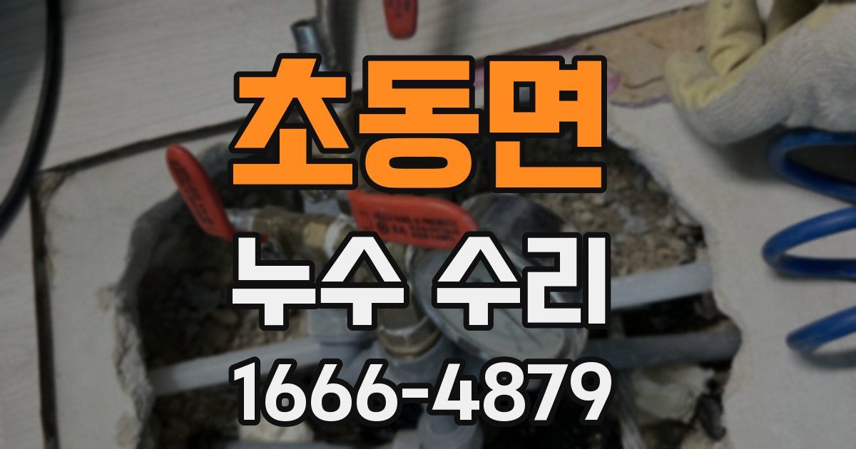초동면 누수 수리
