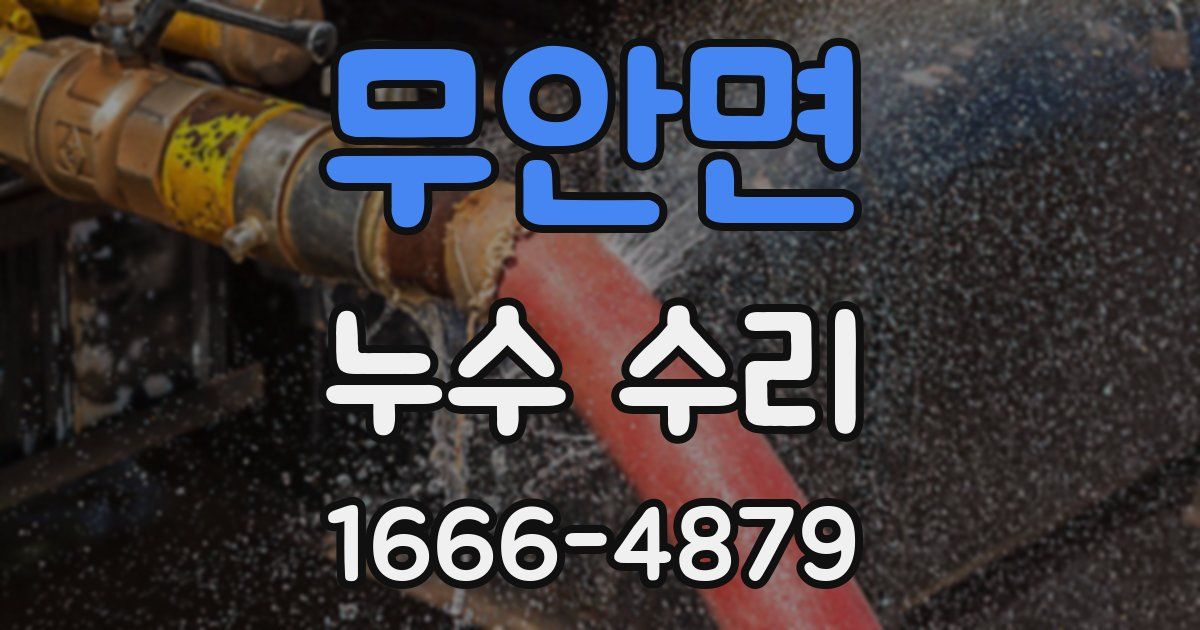 무안면 누수 수리