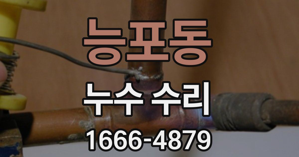 능포동 누수 수리
