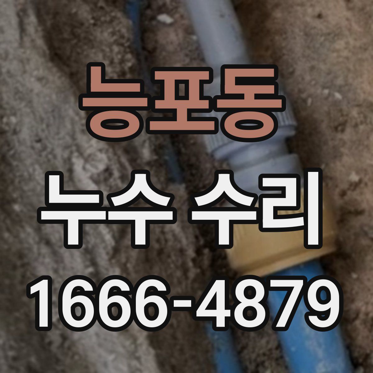 능포동 누수 수리
