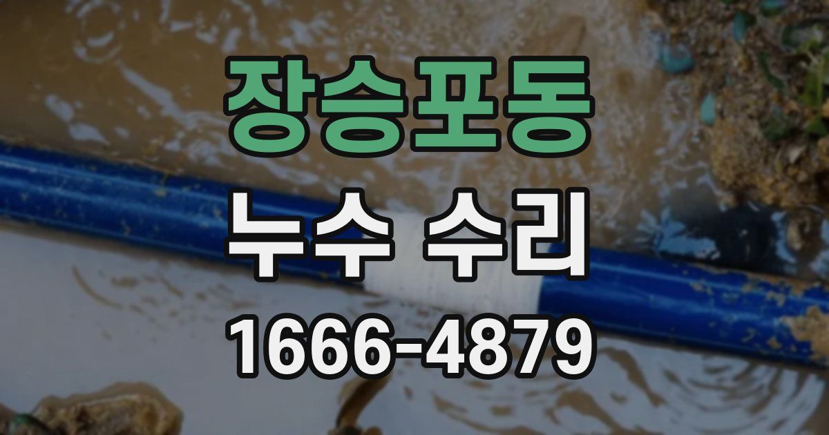 장승포동 누수 수리