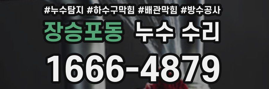 장승포동 누수 수리
