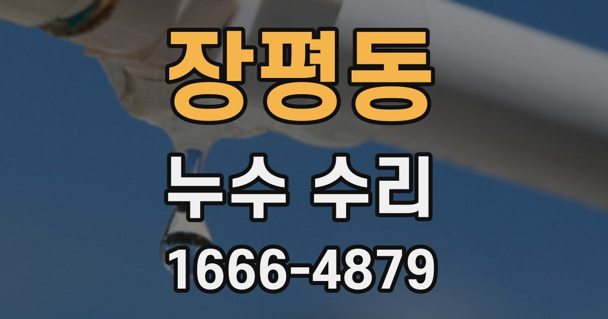 장평동 누수 수리