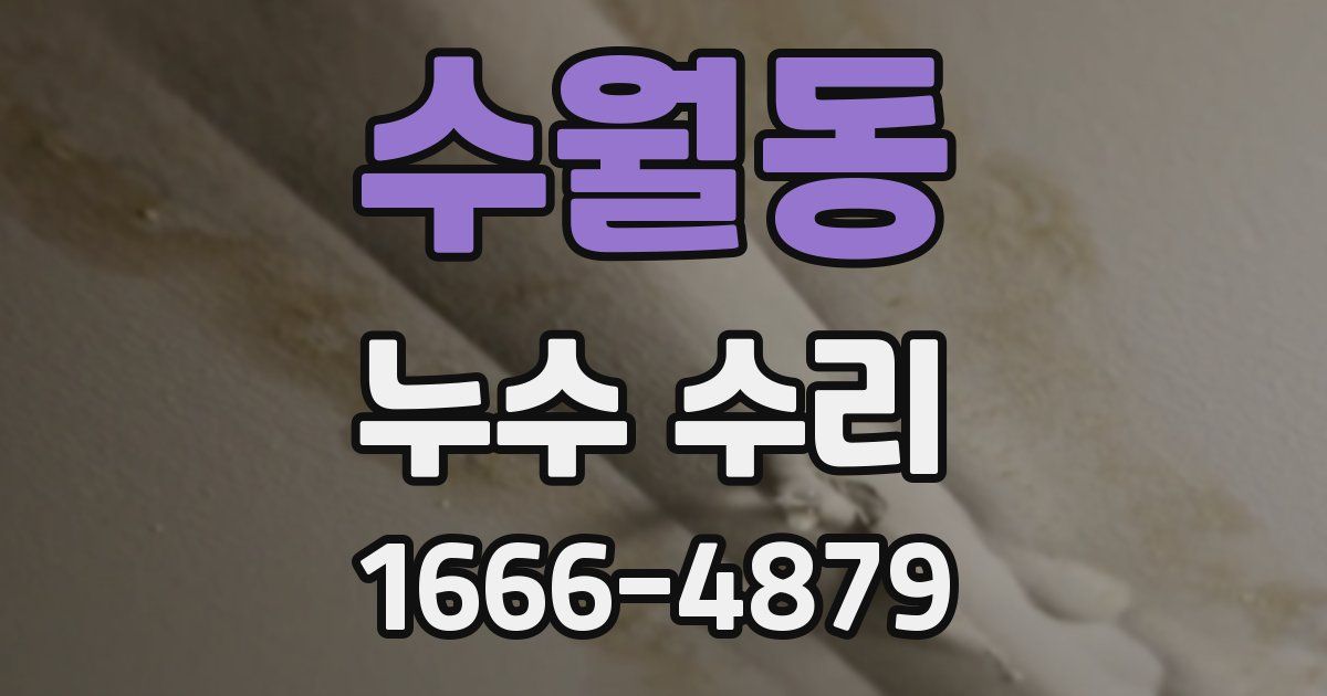 수월동 누수 수리