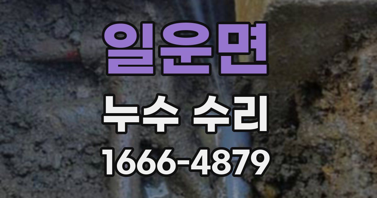 일운면 누수 수리