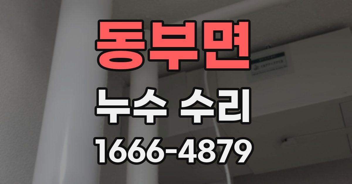 동부면 누수 수리