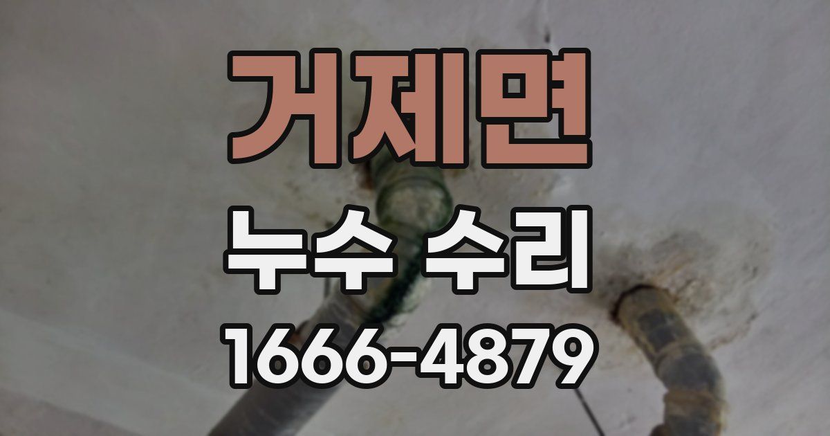 거제면 누수 수리