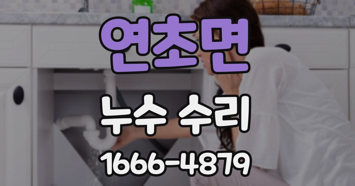 연초면 누수 수리