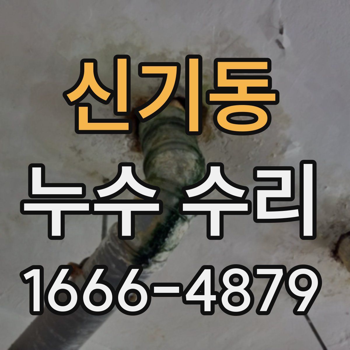 신기동 누수 수리