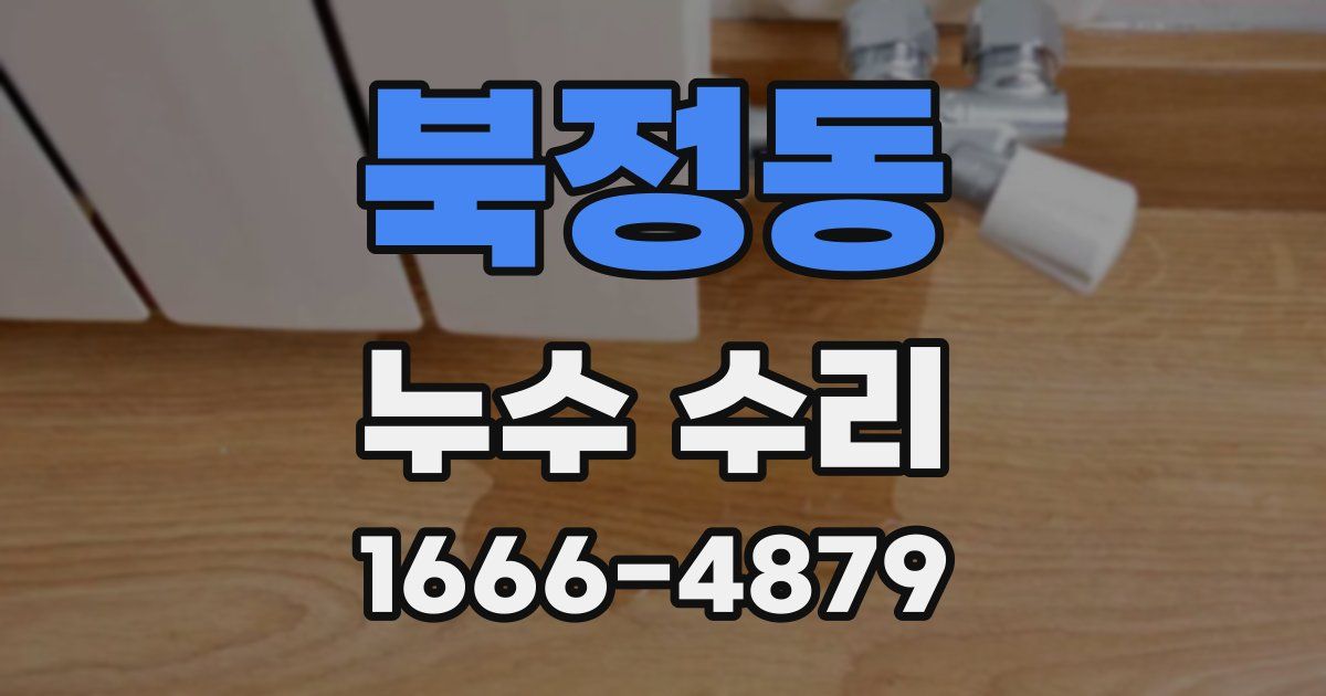 북정동 누수 수리