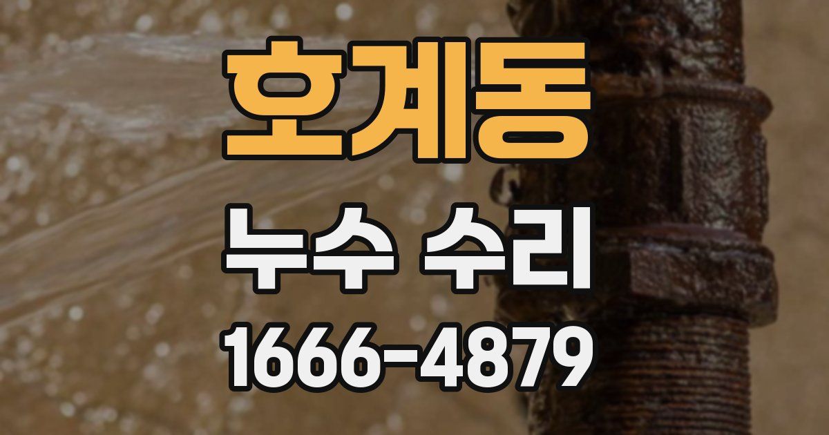 호계동 누수 수리