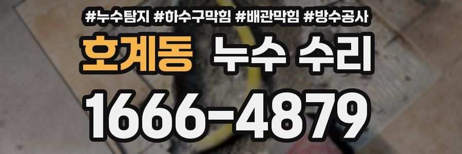호계동 누수 수리