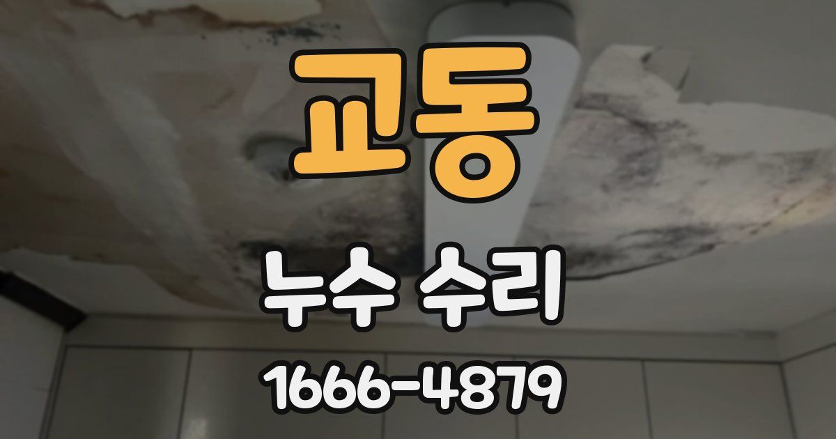교동 누수 수리