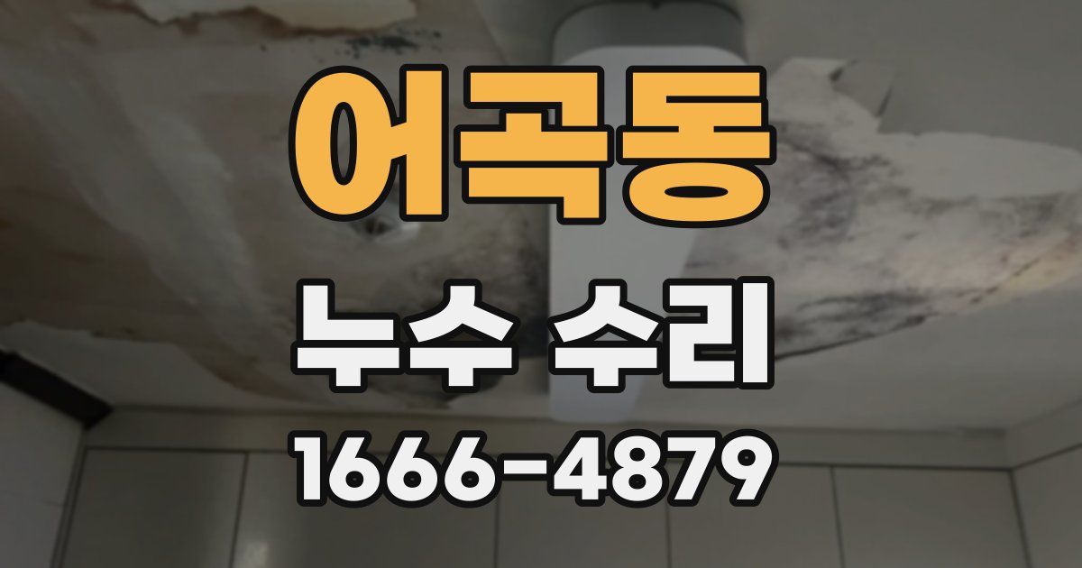 어곡동 누수 수리