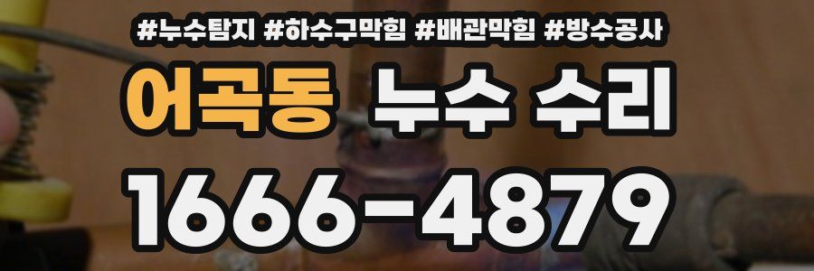 어곡동 누수 수리