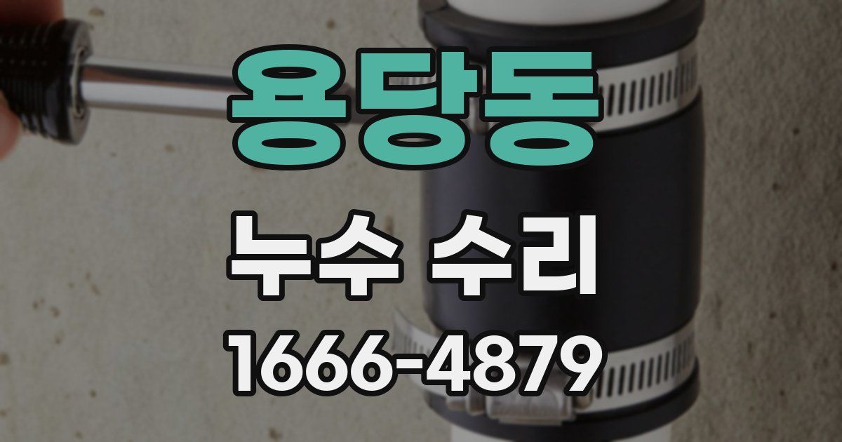 용당동 누수 수리