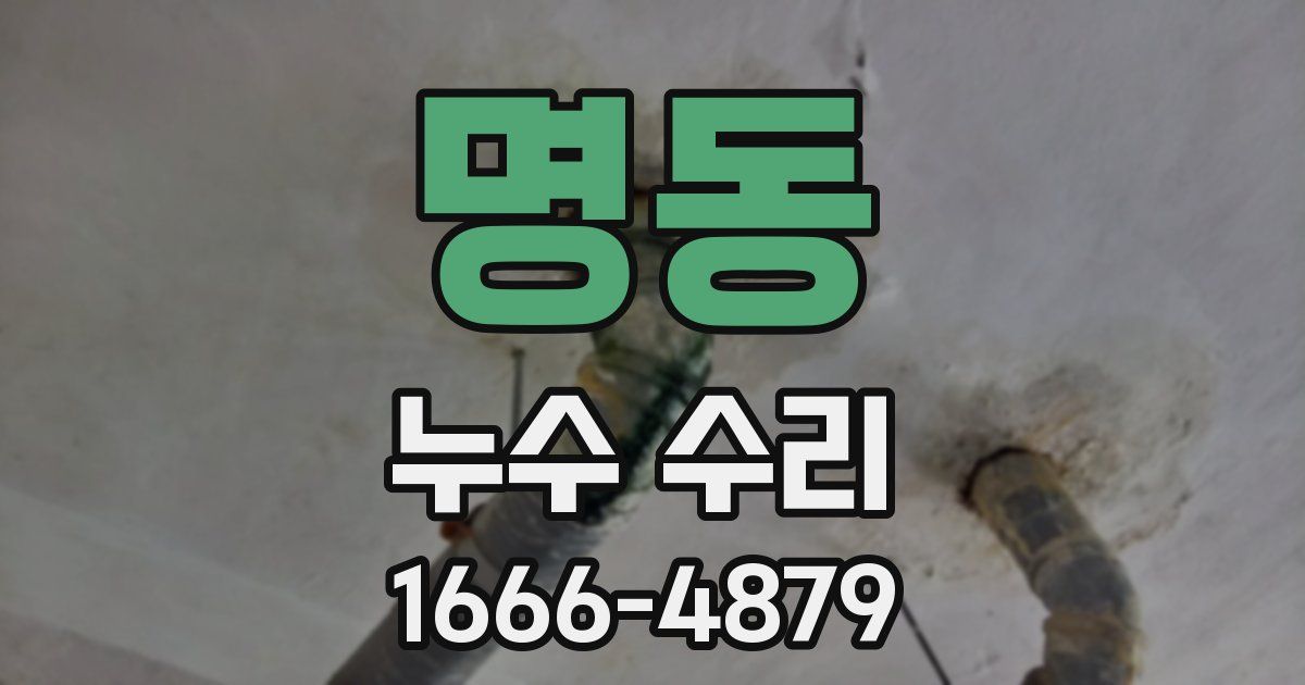 명동 누수 수리