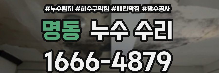 명동 누수 수리