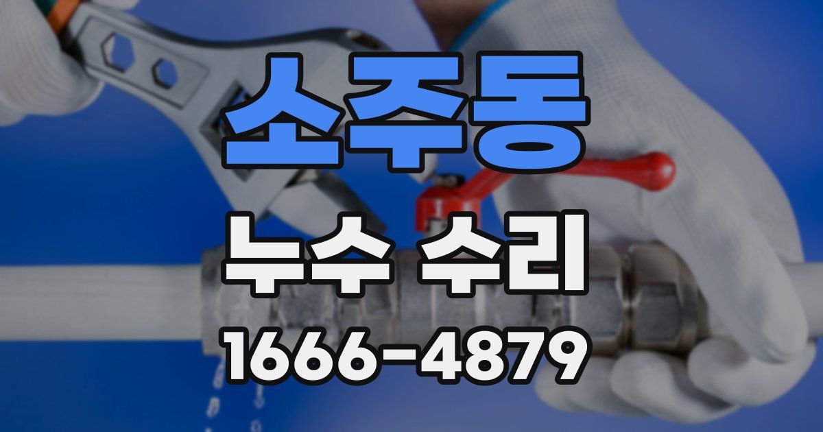 소주동 누수 수리