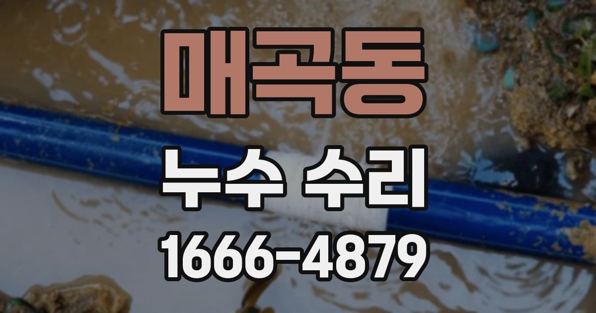 매곡동 누수 수리