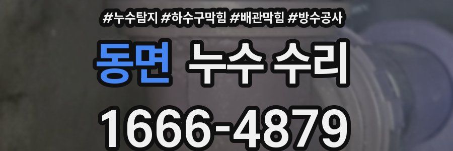 동면 누수 수리