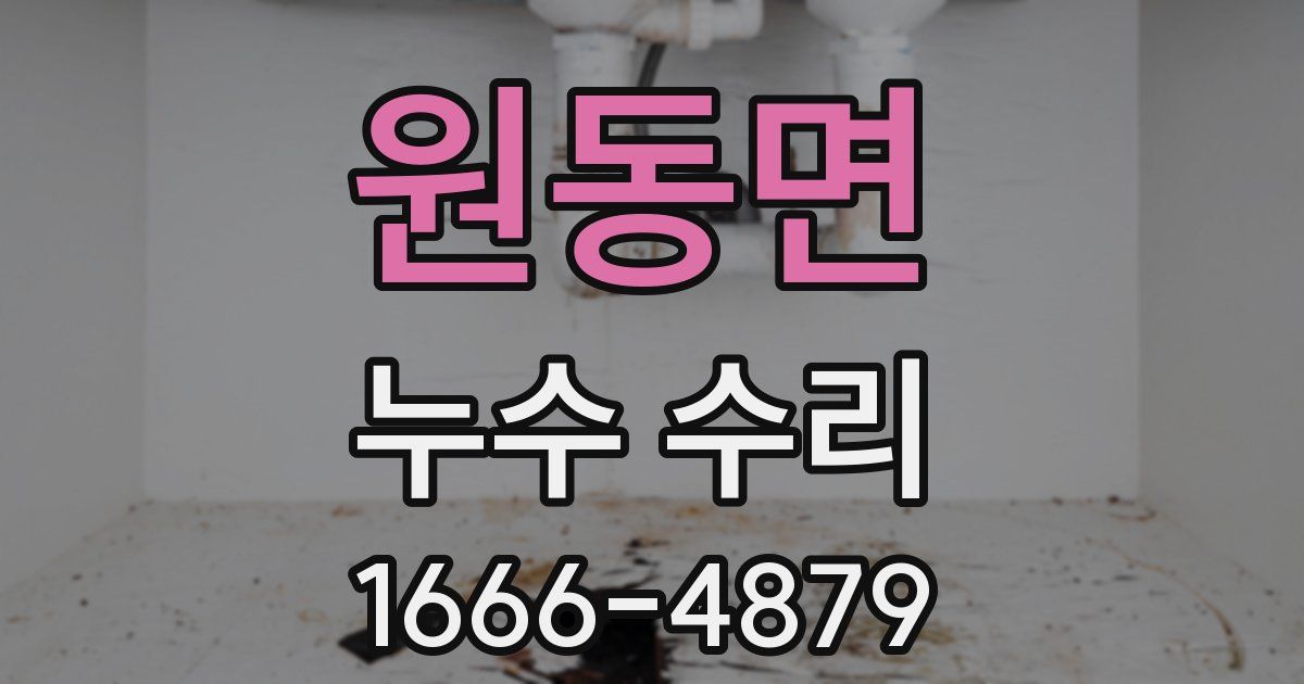 원동면 누수 수리