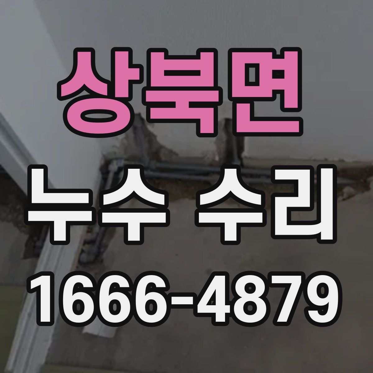 상북면 누수 수리
