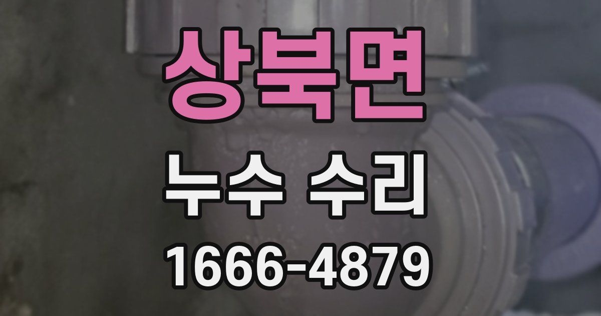 상북면 누수 수리