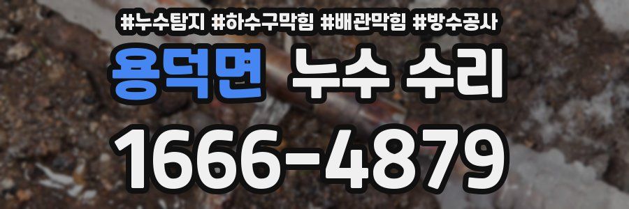 용덕면 누수 수리