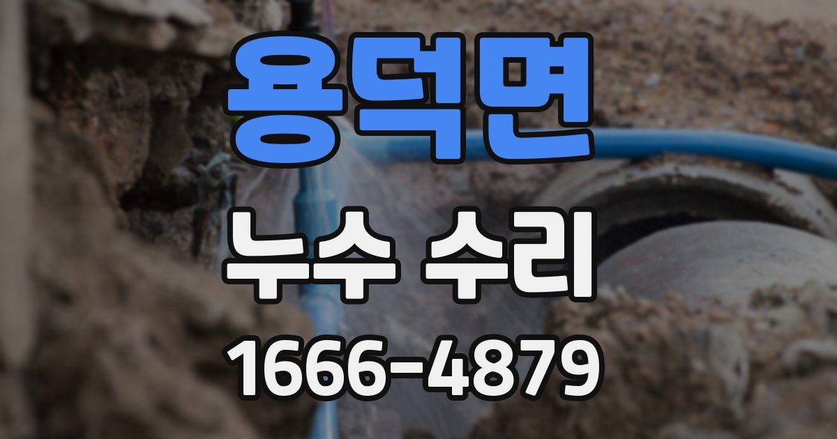 용덕면 누수 수리