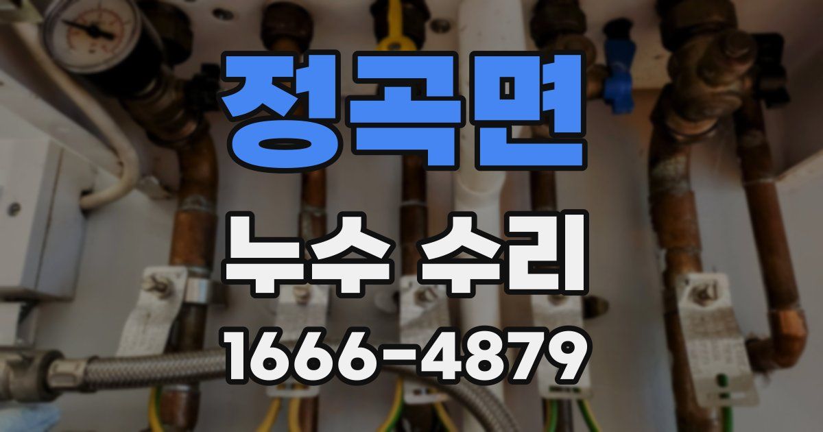 정곡면 누수 수리