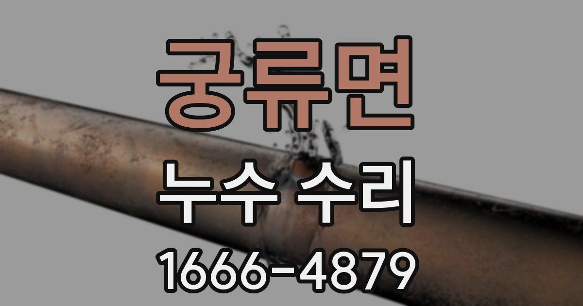 궁류면 누수 수리