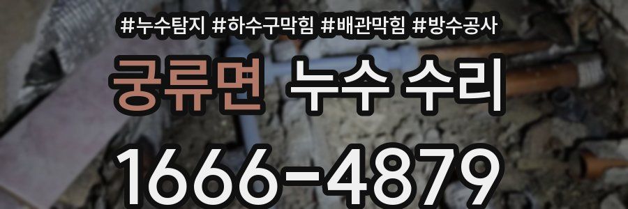 궁류면 누수 수리