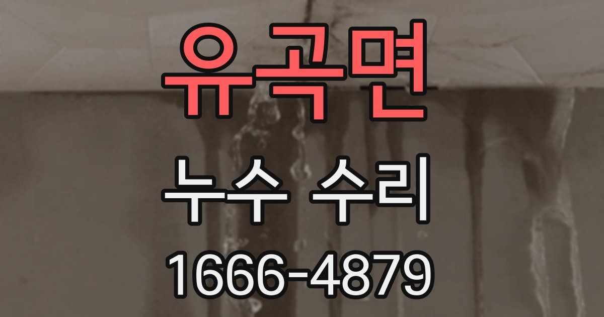 유곡면 누수 수리