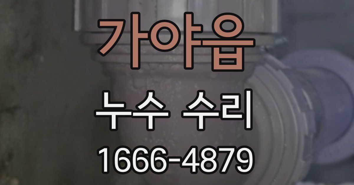 가야읍 누수 수리