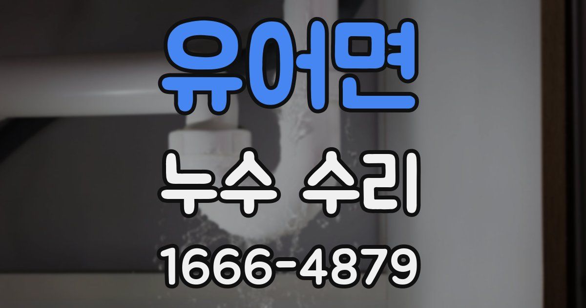 유어면 누수 수리