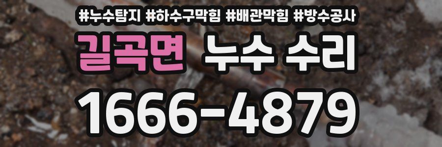 길곡면 누수 수리