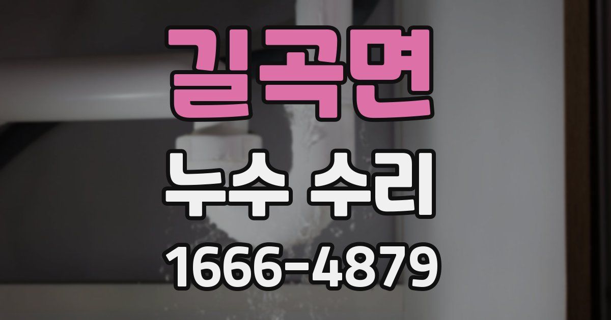 길곡면 누수 수리